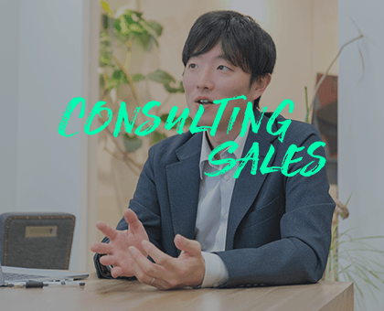 CONSULTING SALES