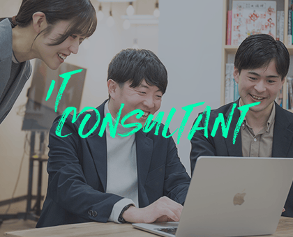 IT CONSULTANT
