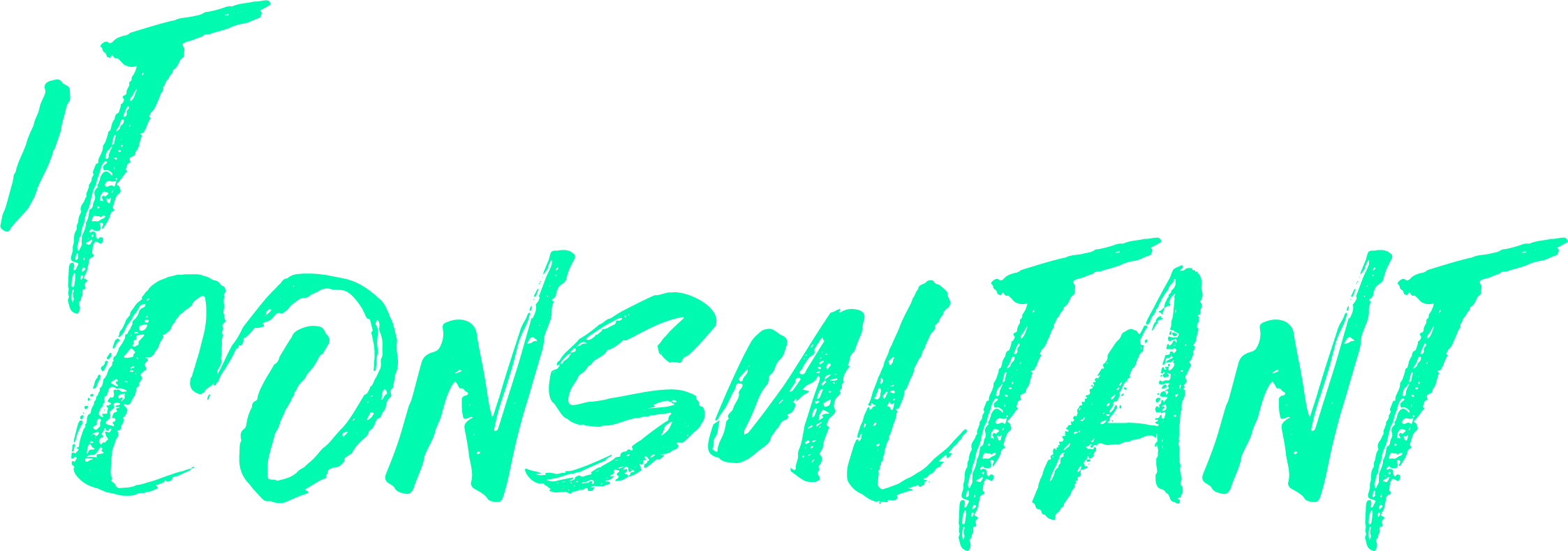 IT CONSULTANT